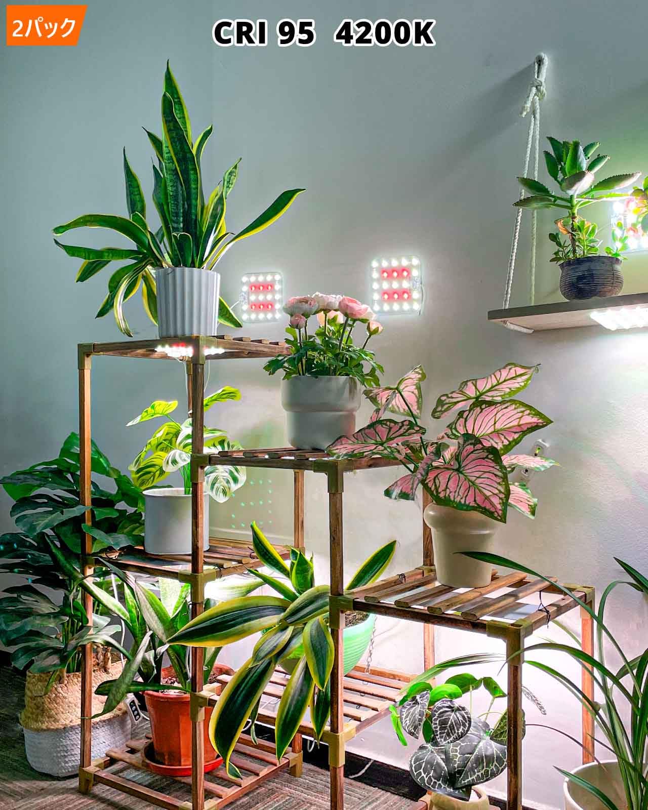 Amazon.co.jp: DOMMIA 植物育成ライト パネル型 粘着取付 フル